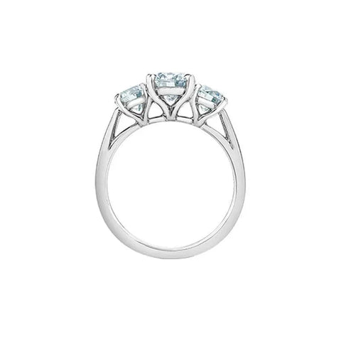 14K White Gold 2.00TDW Lab Grown Diamond Past Present and Future Ring