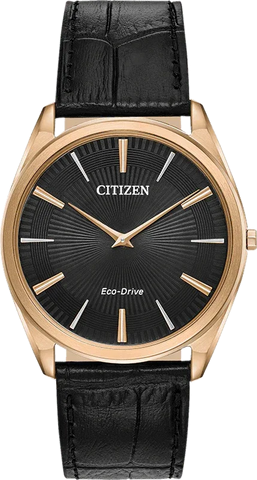 Citizen Eco Drive Stiletto Men's Watch AR3073-06E