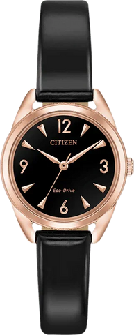 Citizen Eco Drive LTR (Long Term Relationship) Women's Watch EM0688-01E