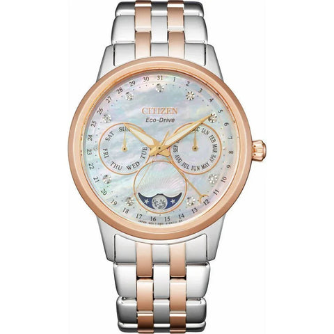 Citizen Eco Drive Calendrier Womens Watch FD0006-56D