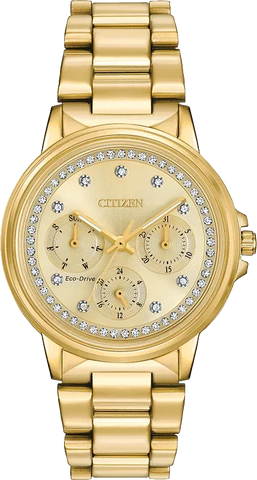 Citizen Eco Drive Chandler Women's Watch FD2042-51P