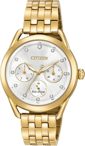 Citizen Eco Drive LTR (Long-Term Relationship) Women's Watch FD2052-58A