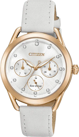 Citizen Eco Drive LTR (Long-Term Relationship) Women's Watch FD2053-04A