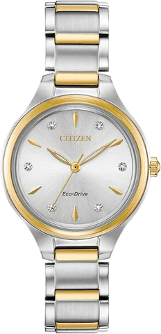 Citizen Eco Drive Corso Women's Watch FE2104-50A