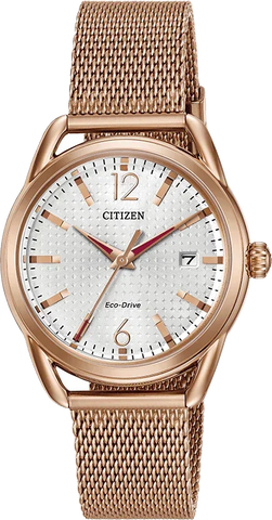 Citizen Eco Drive LTR (Long-Term Relationship) Women's Watch FE6083-72A