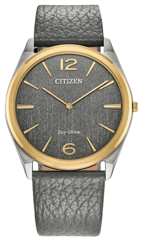 Citizen Suratto Eco-Drive Unisex Watch AR3124-07H