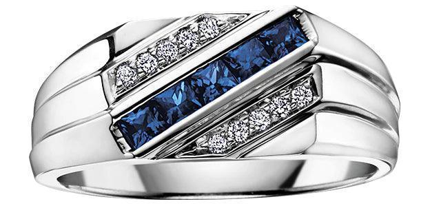 10K White Gold Blue Sapphire and Diamond Men's Ring