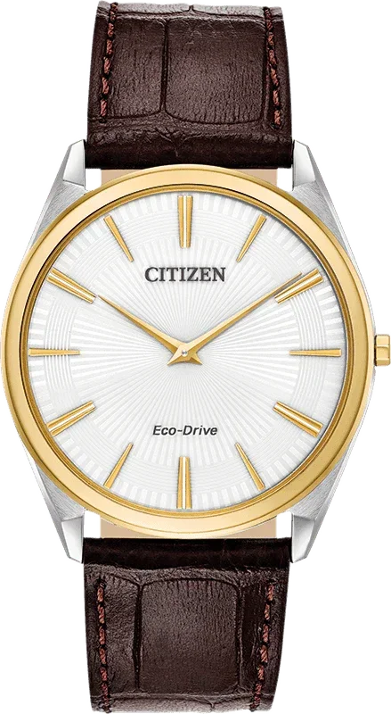 Citizen Eco Drive Stiletto Mens Watch AR3074-03A