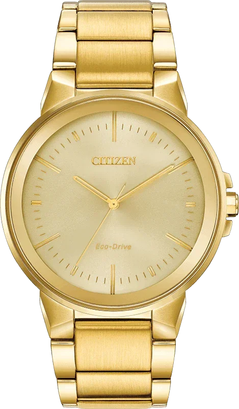 Citizen Eco Drive Axiom Mens Watch BJ6512-56P