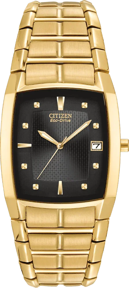 Citizen Eco Drive Paradigm Mens Watch BM6552-52E