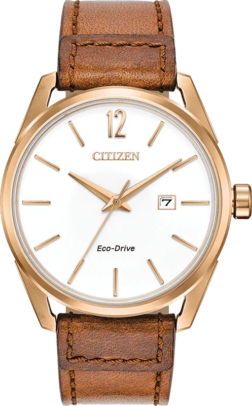 Citizen Eco Drive Cto (Check This Out) Mens Watch BM7413-02A