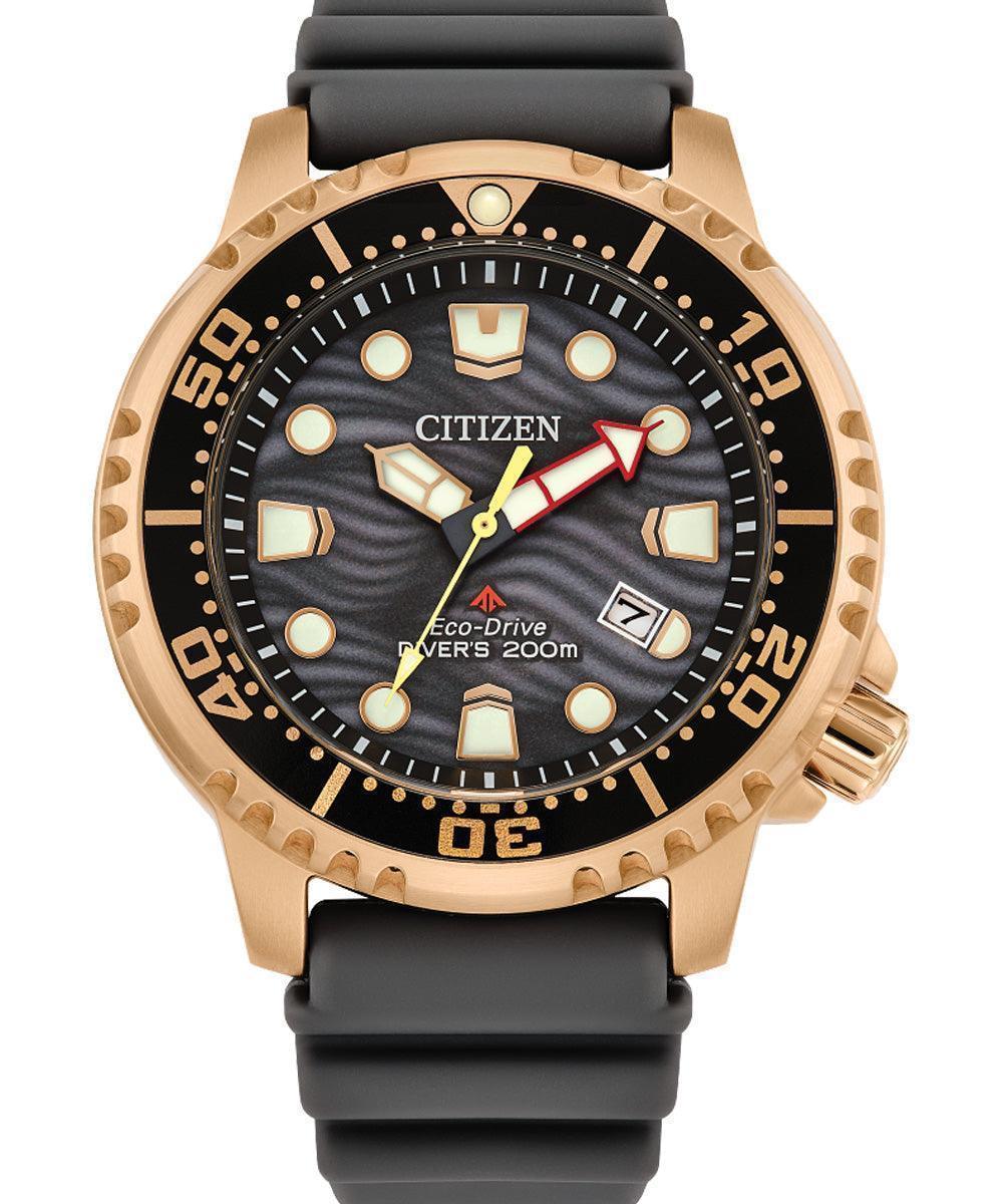 Citizen Promaster Dive Eco-Drive Mens Watch BN0163-00H