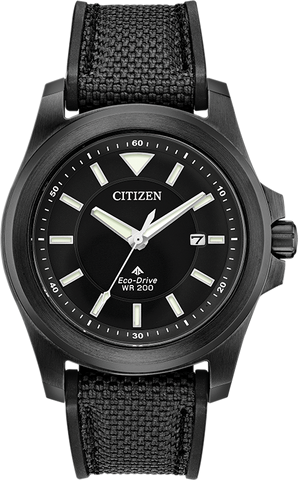 Citizen Promaster Eco-Drive Mens Watch BN0217-02E