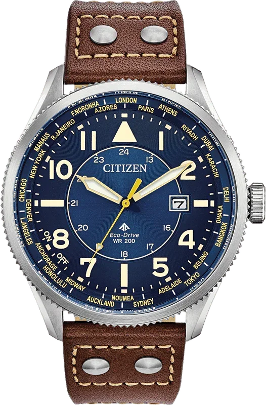 Citizen Eco Drive Promaster Nighthawk Mens Watch BX1010-11L