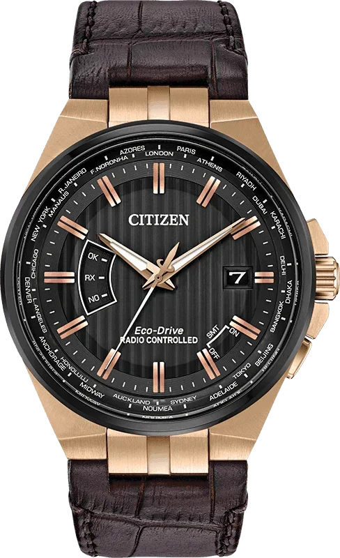 Citizen Eco Drive World Perpetual A-T Mens Watch CB0168-08E