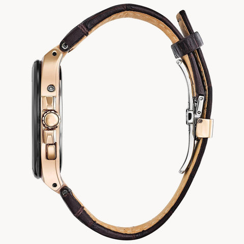 Citizen Eco Drive World Perpetual A-T Men's Watch CB0168-08E