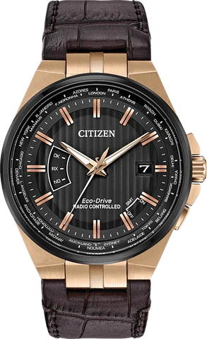 Citizen Eco Drive World Perpetual A-T Mens Watch CB0168-08E