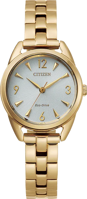 Citizen Eco Drive LTR (Long Term Relationship) Womens Watch EM0682-74A