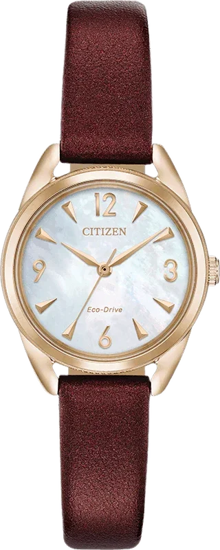Citizen Eco Drive LTR (Long Term Relationship) Womens Watch EM0683-04D