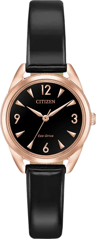 Citizen Eco Drive LTR (Long Term Relationship) Womens Watch EM0688-01E