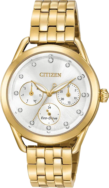Citizen Eco Drive LTR (Long-Term Relationship) Womens Watch FD2052-58A