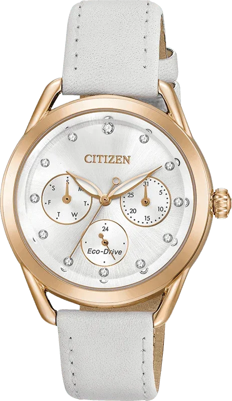 Citizen Eco Drive LTR (Long-Term Relationship) Womens Watch FD2053-04A