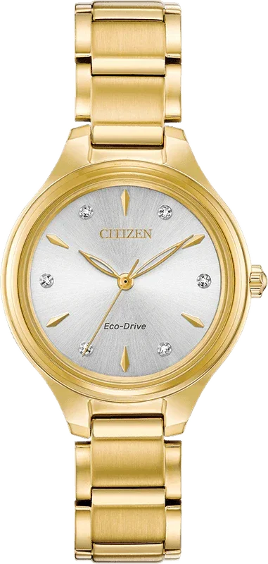 Citizen Eco Drive Corso Womens Watch FE2102-55A